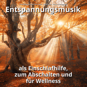 Zarte Klänge für Hunde