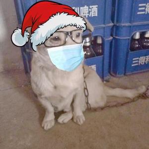 蛋蛋