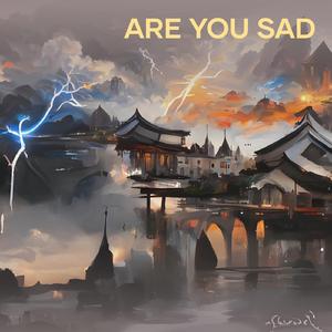 Are You Sad