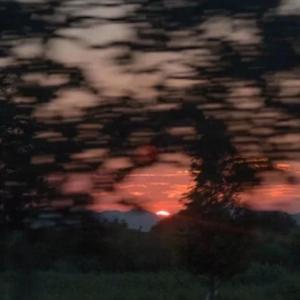 这个星球我最喜欢你