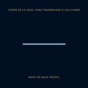 Want Me Back (Remix)