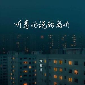 听着你说的离开
