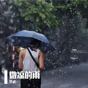 《微凉的雨》