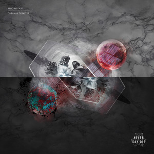 Dream & Disaster(TYNAN Remix)