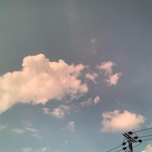 Let the Adventure Begin!