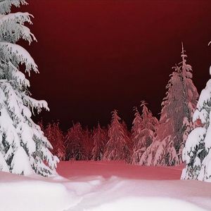 爱让高傲者低头