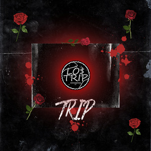 Trip