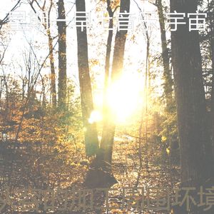 抚慰的加工回忆