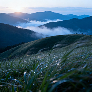 山野回响