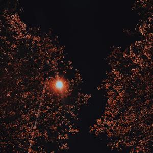 날라리 (LALALAY)（翻自 SUNMI）