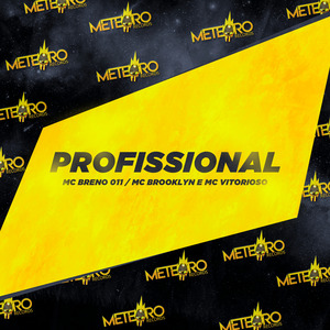 Profissional