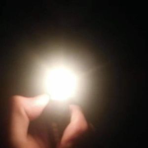 蔷薇和玫瑰(Prod by.Da）