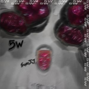 5W