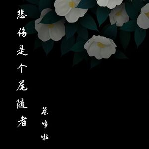 悲伤是个尾随者