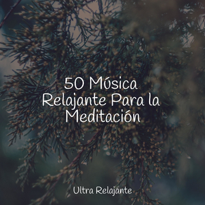 El Tiempo Retrocede