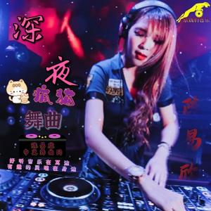 2024全新串烧慢摇伤感舞曲 - (6月份收录)