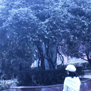 情歌（cover梁静茹）