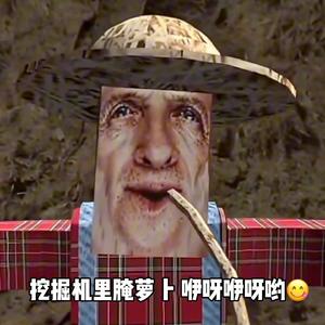 挖掘机里腌萝卜咿呀咿呀哟