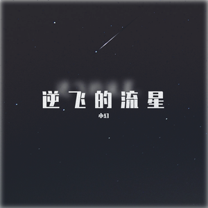 逆飞的流星