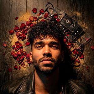 Estantería del Caos