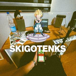 SKIGOTENKS