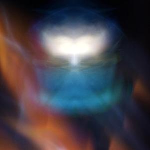 Bicho (Roots and Evolution)