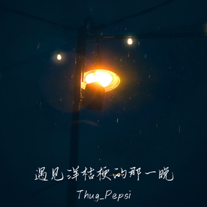 遇见洋桔梗的那一晚（Prod. By 4Hunnid）