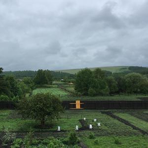 Плохой год для любви