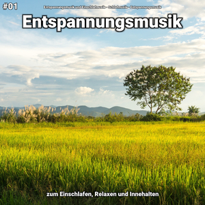 Entspannungsmusik, Pt. 57