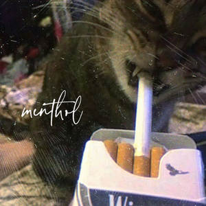 Menthol（prod.Gr33nart beats）