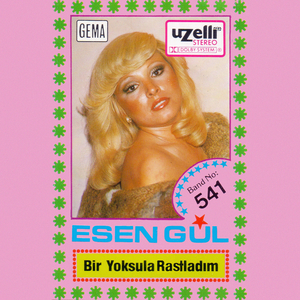 Her Gece Meyhanelerde