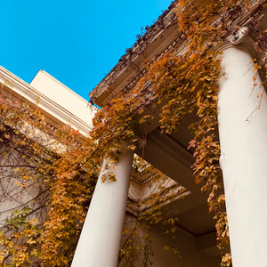 autumn leaves (to you, in november) (Demo)