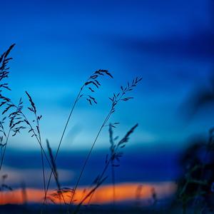 我借红尘二两酒（live版）