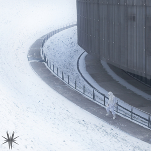 why would you let me in