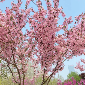 如果你懂我的话