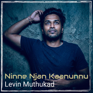 Ninne Njan Kaanunnu