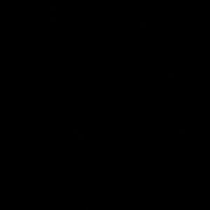 INTRO