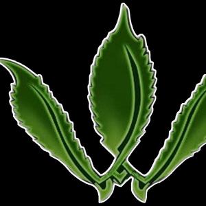 Verdaderas Vivencias