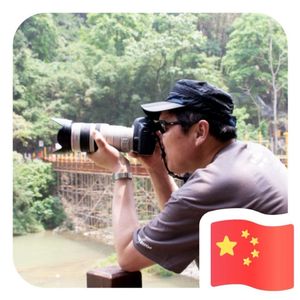 蝶儿飞（电吹管演奏）
