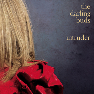 Intruder
