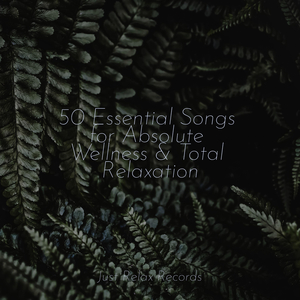 Saffron Skies and Starlit Wishes