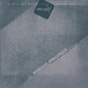 I Can Fly so High (Flight Mix)