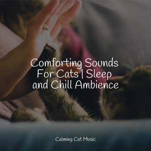 Welness and Mindfulness