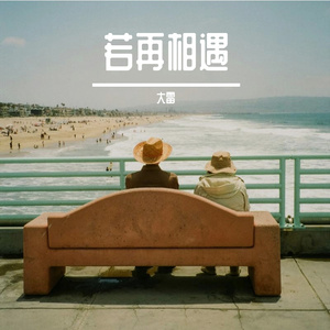 命里无你我不甘