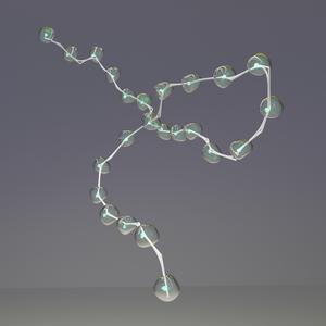 Siphonophore