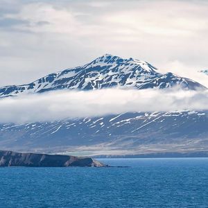 《飞鸟与大树的诗》