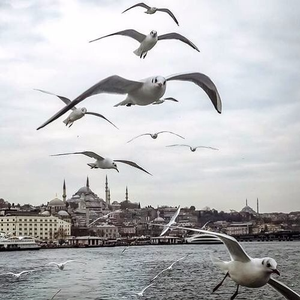 Pazara Kadar (cover)