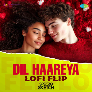Dil Haareya - LoFi Flip