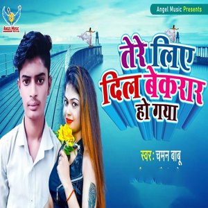 Tere Liye Dil Bekarar Ho Gaya