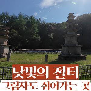 낮빛의 절터, 그림자도 쉬어가는 곳